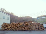 DSCN1138