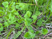 PXL_20260505_085121117
