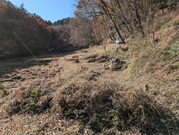 PXL_20251208_024820293