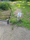 PXL_20260710_075435666