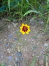PXL_20260722_090500893