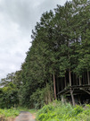 PXL_20260901_020029683