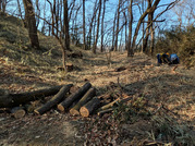 PXL_20260111_013421622