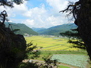 DSCN9282