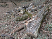 PXL_20260224_074523948