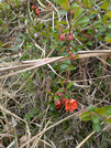 PXL_20260325_014149113