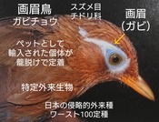 29959