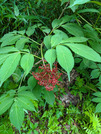 PXL_20260604_022221734
