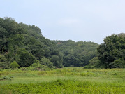 PXL_20260716_234117058