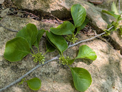 PXL_20260502_030307414