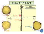 サツマイモの高品質生産技術・販売促進活動の手引き_6