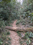 PXL_20260319_060125352