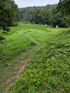 PXL_20260728_030754885