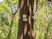 PXL_20260502_015921081