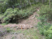 PXL_20260623_061715270