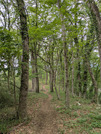 PXL_20260523_035714065