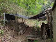 PXL_20260417_032637140