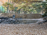 PXL_20251129_064232408