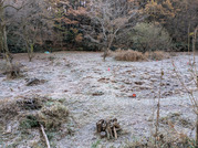 PXL_20251205_234221201