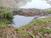 DSC09799