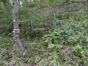PXL_20260430_083151967