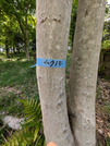 PXL_20260426_035839424