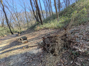 PXL_20260131_032414777