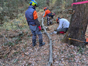 PXL_20260213_021817586