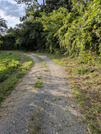 PXL_20260729_080009377