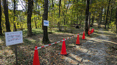 PXL_20251115_022704123