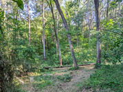 PXL_20260529_072239132