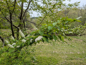 PXL_20260410_043402493