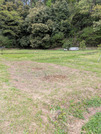 PXL_20260415_042056172