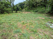 PXL_20260524_014215186