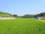 P7010061