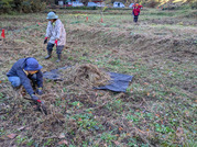 PXL_20251128_004525616