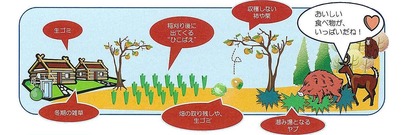 丹南地域鳥獣害対策マニュアル(イノシシ編)2011年2月_ページ_4