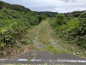 PXL_20260927_050703721