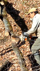 スクリーンショット (17681).png