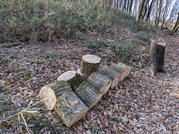 PXL_20260111_011003813