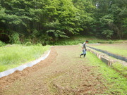 DSCN6611
