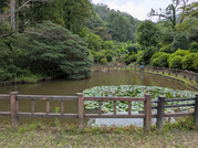 PXL_20260704_070733158