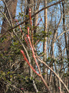 PXL_20260301_053603062