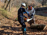 PXL_20251216_013212728