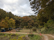 PXL_20251117_235857850