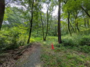 PXL_20260716_235032234