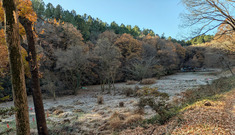 PXL_20251205_234134246