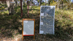 PXL_20251114_011847526