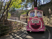 PXL_20260108_051102964