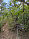 PXL_20260511_040131373